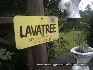 Lavatree Speces